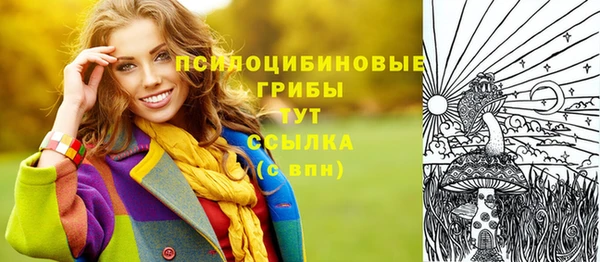 дурь Дмитровск